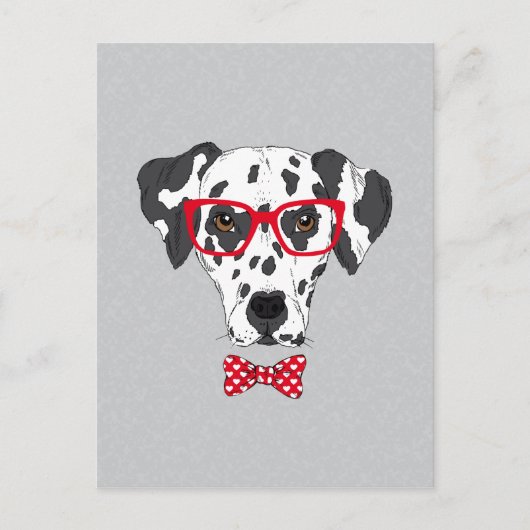 Carte Postale Dalmatien fashionable (Devant)