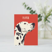 Carte Postale Dalmatien rouge (Debout devant)