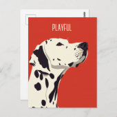 Carte Postale Dalmatien rouge (Devant / Derrière)