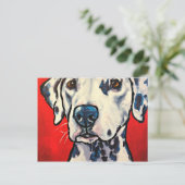 Carte Postale dalmation 02 (Debout devant)