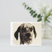 Carte postale Dalmation Dog (Debout devant)