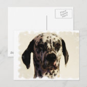 Carte postale Dalmation Dog (Devant / Derrière)