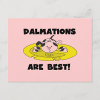 Dalmations sont le meilleurs T-shirts et cadeaux