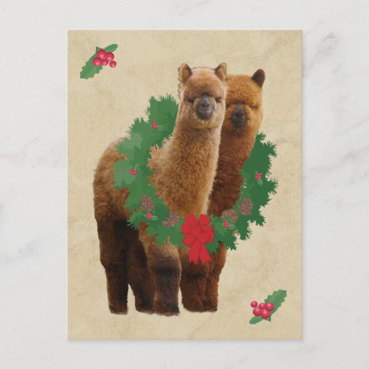 Carte postale d'Alpaca Christmas (Devant)
