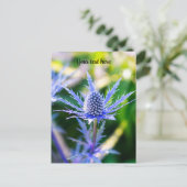 Carte postale d'Alpen Mannstreu (Debout devant)