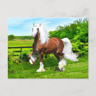 Carte Postale "Dalton"