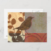 Carte Postale Damask Sparrow (Devant / Derrière)