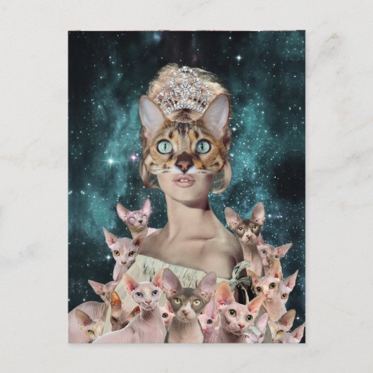Carte Postale Dame du chat (Devant)