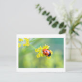 Carte Postale dame sur le dessus (Debout devant)