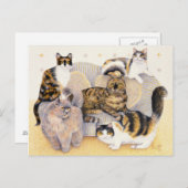 Carte Postale Dames d'écaille (Devant / Derrière)