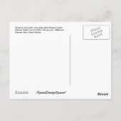 Carte postale : Dames Rocket (Hesperis matronalis) (Dos)