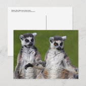 Carte postale d'amis (Devant / Derrière)