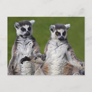 Carte postale d'amis