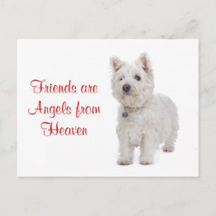 Carte postale d'amis West Highland Terrier Westie