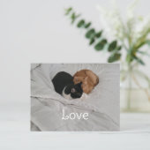 Carte postale d'amour avec un cœur de chat (Debout devant)