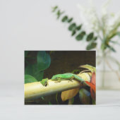 Carte postale d'amour de Gecko (Debout devant)