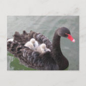 Carte postale d'amour de maman (Devant)