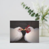 Carte postale d'amour de poulet (Debout devant)