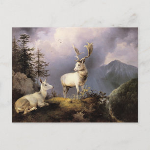 Carte Postale Damwild, Friedrich Gauermann, 1833