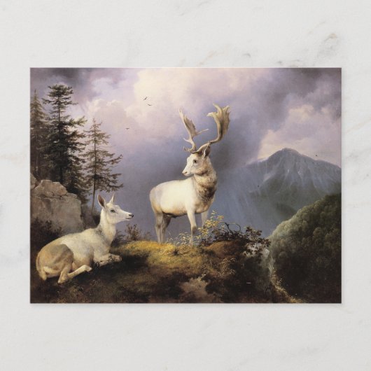 Carte Postale Damwild, Friedrich Gauermann, 1833 (Devant)