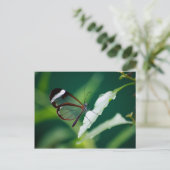 Carte postale Dana (Debout devant)