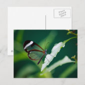 Carte postale Dana (Devant / Derrière)