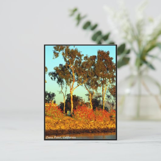 Carte postale Dana Point (Debout devant)