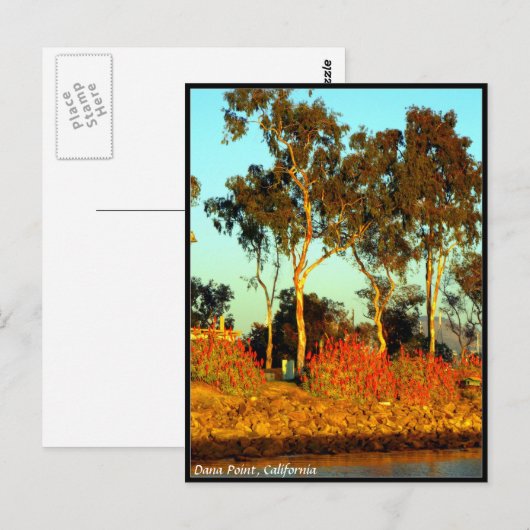 Carte postale Dana Point (Devant / Derrière)