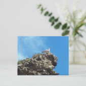 CARTE POSTALE DANA POINT #3 (Debout devant)