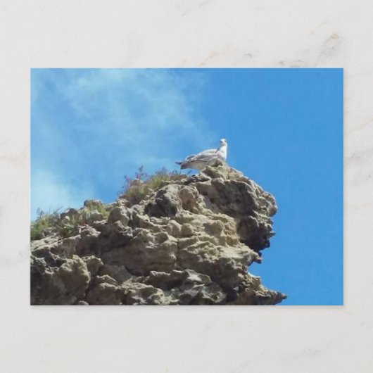 CARTE POSTALE DANA POINT #3 (Devant)