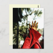 Carte postale Dancefloor Glimpses (Devant / Derrière)