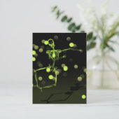 Carte Postale Dancing X-Ray Skeleton - Lime Green (Debout devant)