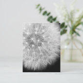 Carte Postale Dandalion (Debout devant)
