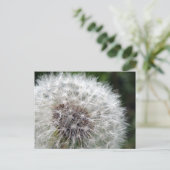 Carte Postale Dandelion (Debout devant)