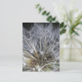 Carte Postale Dandelion (Debout devant)