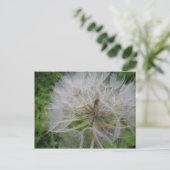 Carte Postale Dandelion (Debout devant)