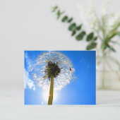 Carte postale Dandelion (Debout devant)