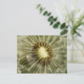Carte Postale Dandelion (Debout devant)