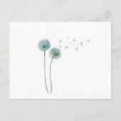 Carte postale Dandelion (Devant)