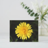 Carte Postale Dandelion (Debout devant)