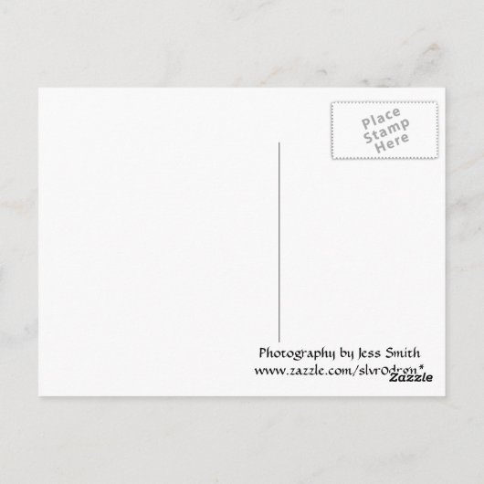 Carte postale Dandelion (Dos)