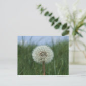 Carte postale Dandelion (Debout devant)