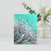 Carte Postale Dandelion (Debout devant)