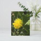 Carte Postale Dandelion (Debout devant)
