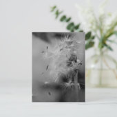 Carte Postale Dandelion (Debout devant)