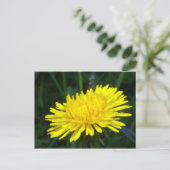 Carte Postale dandelion2 (Debout devant)