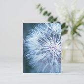 Carte Postale Dandelion 2 (Debout devant)