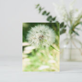 Carte Postale Dandelion à bouffées (Debout devant)