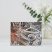 Carte Postale Dandelion Abstrait (Debout devant)