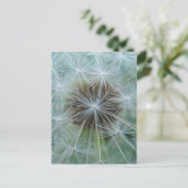 Carte Postale Dandelion blanc (Debout devant)